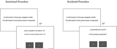 Cognitive and contextual factors modulating grammar learning at older ages